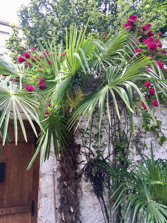 Palmera 莫斯塔尔 外观 照片
