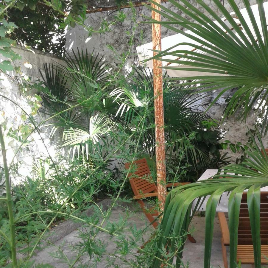 Palmera 莫斯塔尔 外观 照片