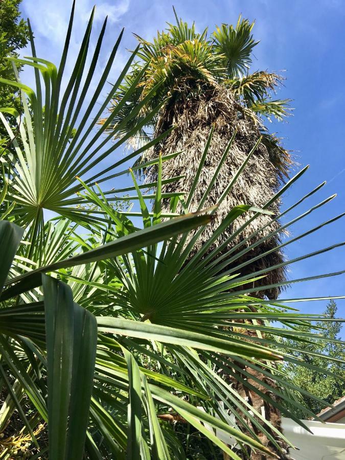 Palmera 莫斯塔尔 外观 照片