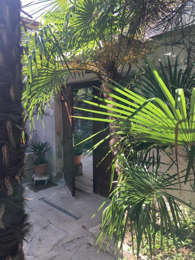 Palmera 莫斯塔尔 外观 照片