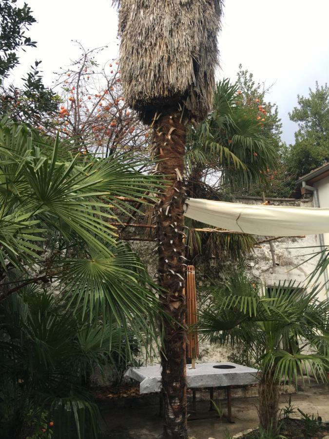 Palmera 莫斯塔尔 外观 照片